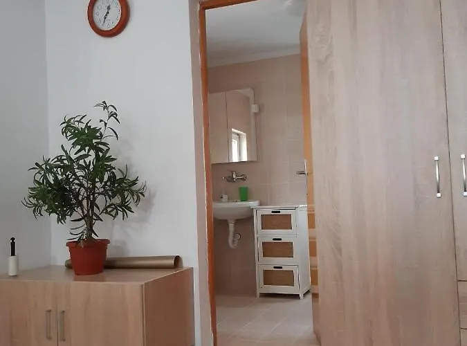 Daire Mitic Požarevac