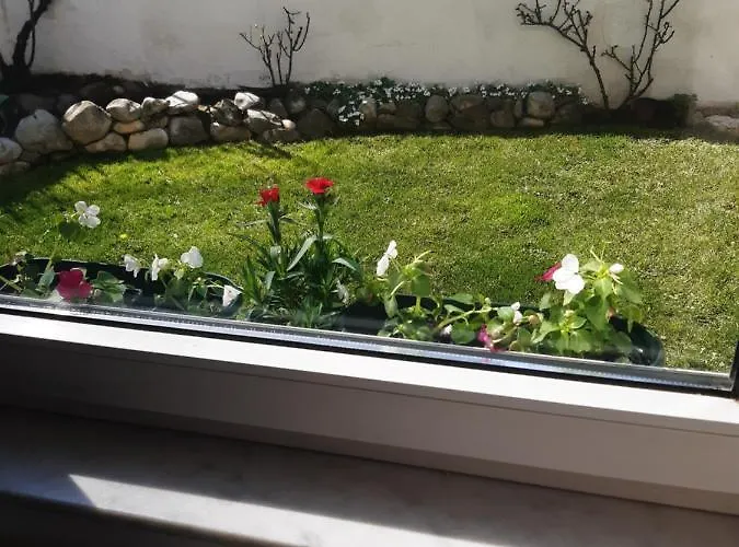 Mitic Daire Požarevac